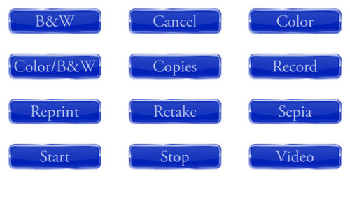 12 Glossy Button Graphics for Screen Templates (Blue)