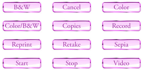 12 Glossy Button Graphics for Screen Templates (Pink)