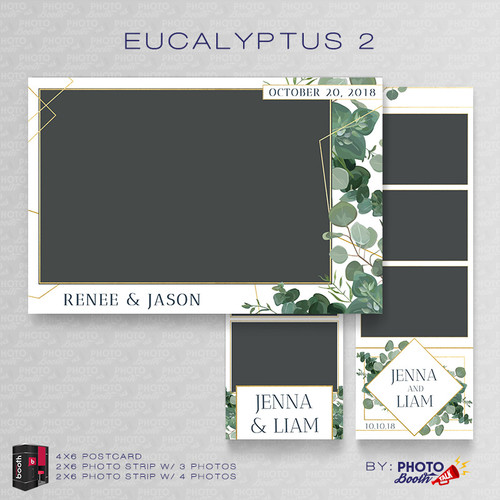 Eucalyptus 2 Bundle - CI Creative