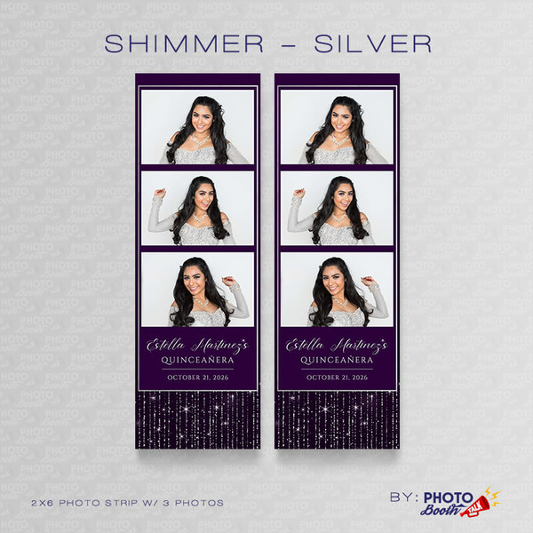 Shimmer Silver 2x6 3 Images - CI Creative