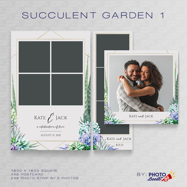 Succulent Garden 1 Square Set - CI Creative