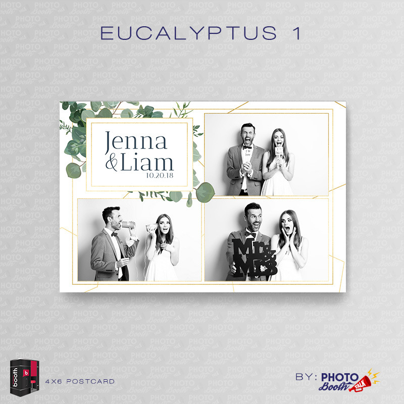 Eucalyptus 1 4x6 3 Images Ci Creative