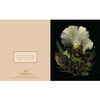 Deep Dark Forest Notecards