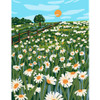 Paint By Numbers Kit, Blooming Daisies
