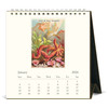 Cavallini 2026 Desk Calendar, Sea Life
