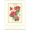 Cavallini 2026 Wall Calendar, Language of Flowers