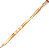 Blackwing Volume 574 Pencils (Native American Art)
