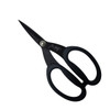Titanium Scissors 7"
