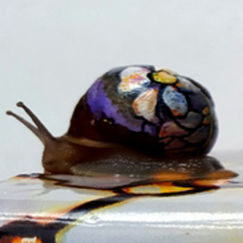 Kasey Smith, Artist in Residence