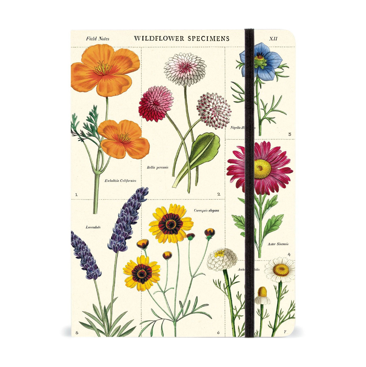 Wildflowers Stencil, 6 x 6 - FLAX art & design