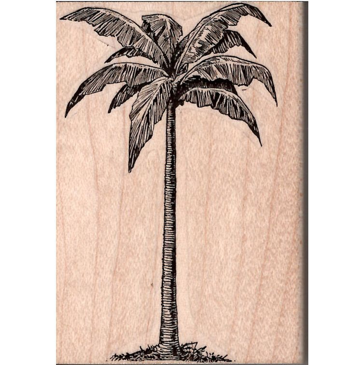 Free: Coconut Tree Black And White Clipart - Coconut Tree Drawing - nohat.cc