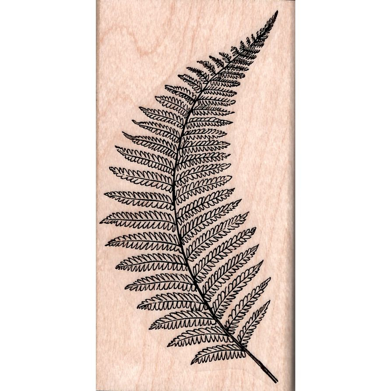 Fern leaf tattoo by Guillaume Martins | Post 24983