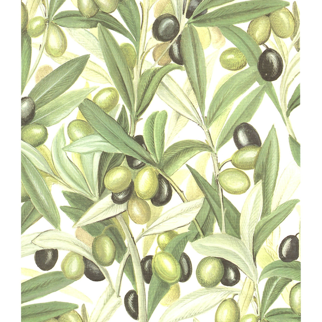 Rossi 1931 Decorative Paper, Olives - FLAX art & design