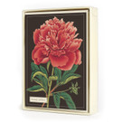 Boxed Notecards, Botany Boxed Notecards, Botany