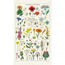 Vintage Tea Towel, Wildflowers