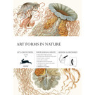 Creative Paper Book, Art Forms in Nature