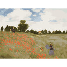 Paint by Numbers, The Poppy Field