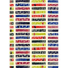 Katazome-Shi Paper, Color Strips