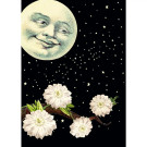 I Love You Moon Card