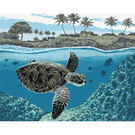 Paint By Numbers, Sea Turtle