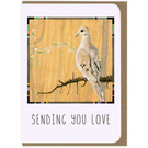 Dove Sending You Love Card