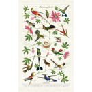 Vintage Tea Towel, Hummingbirds
