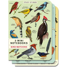 Mini Notebook Set, Bird Watching