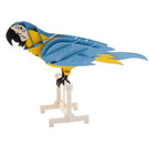 3D Paper Model, Parrot