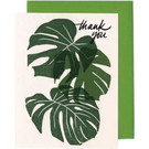 Monstera Leaves Thank You Card
