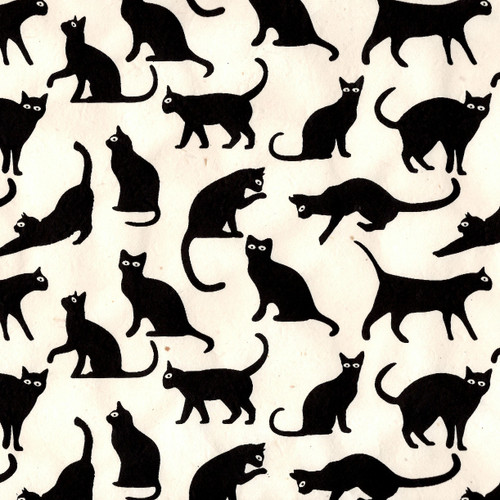  Lotka Paper, Black Cats