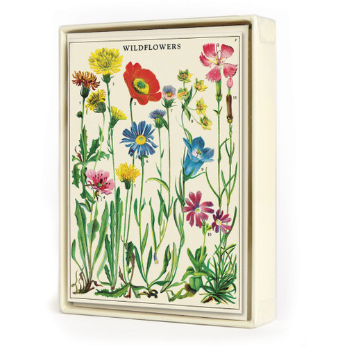 Boxed Notecards, Wildflowers