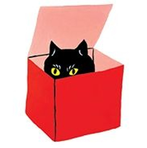 Cat in a Box Temporary Tattoos