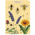 Mini Notebooks Set, Bees & Honey