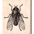 Fly Rubber Stamp