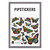 Pipstickers Stickers, Multicolor Monarchs