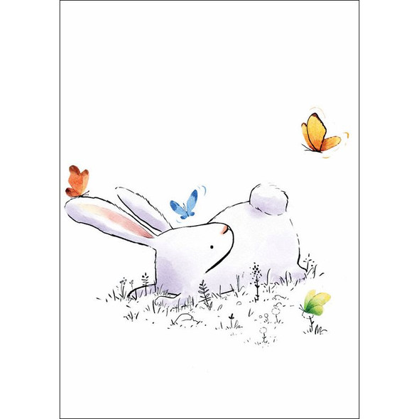 Dan Tavis Bunny Boxed Card Set Dan Tavis Bunny Boxed Card Set