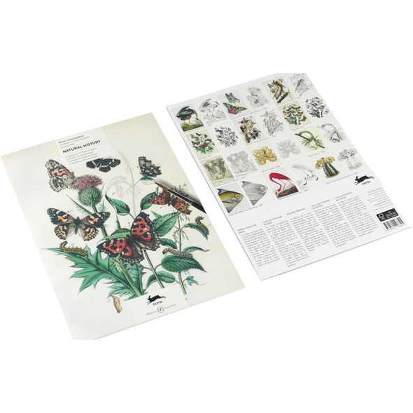 Artists' Coloring Book, Natural History