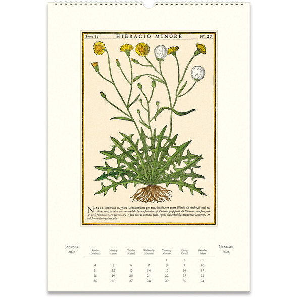Cavalllini 2026 Wall Calendar, Herbarium