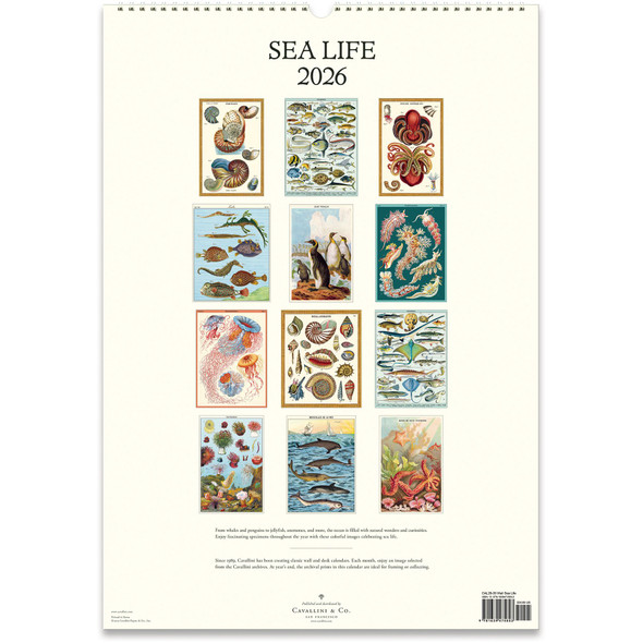 Cavallini 2026 Wall Calendar, Sea Life
