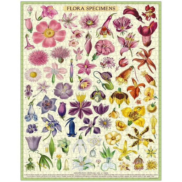 Jigsaw Puzzle, Floral Specimens