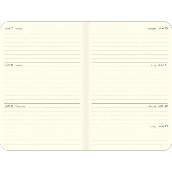 Cavallini 2027 Weekly Planner, Vintage Cats