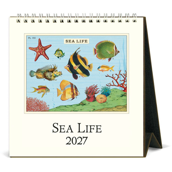 Cavallini 2027 Desk Calendar, Sea Life