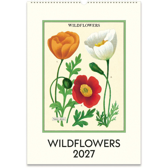 Cavallini 2027 Wall Calendar, Wildflower
