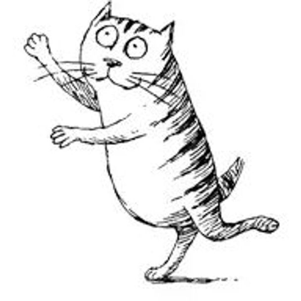 Foss the Cat Temporary Tattoos