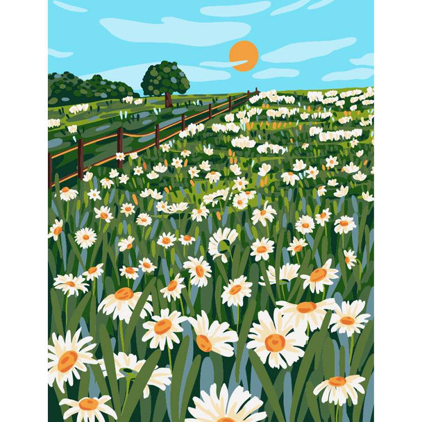 Paint By Numbers Kit, Blooming Daisies