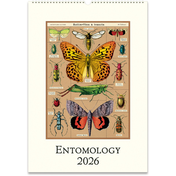 Cavallini 2026 Wall Calendar, Entomology