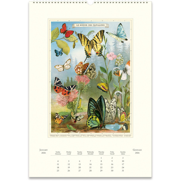 cavallini-2026-wall-calendar-entomology-flax-art-design