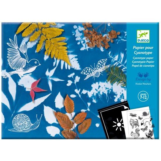 Starter Cyanotype Kit