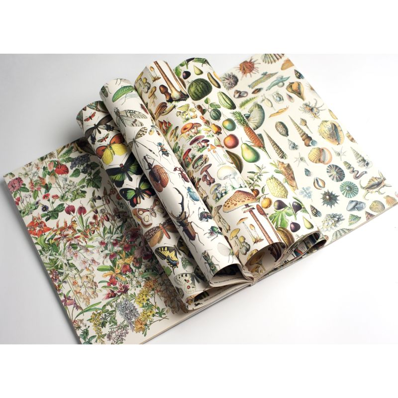 Creative Paper Book, Natural History - FLAX art & design