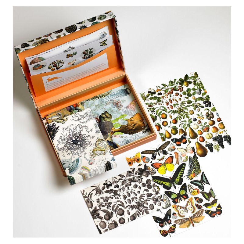 Letter Writing Set Maps